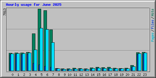 Hourly usage for June 2025