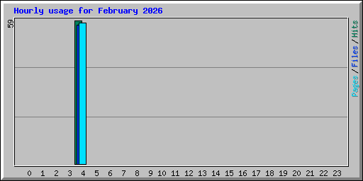 Hourly usage for February 2026